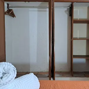 apartamento-bizantino-pet-friendly.allrivieramayahotels.com/